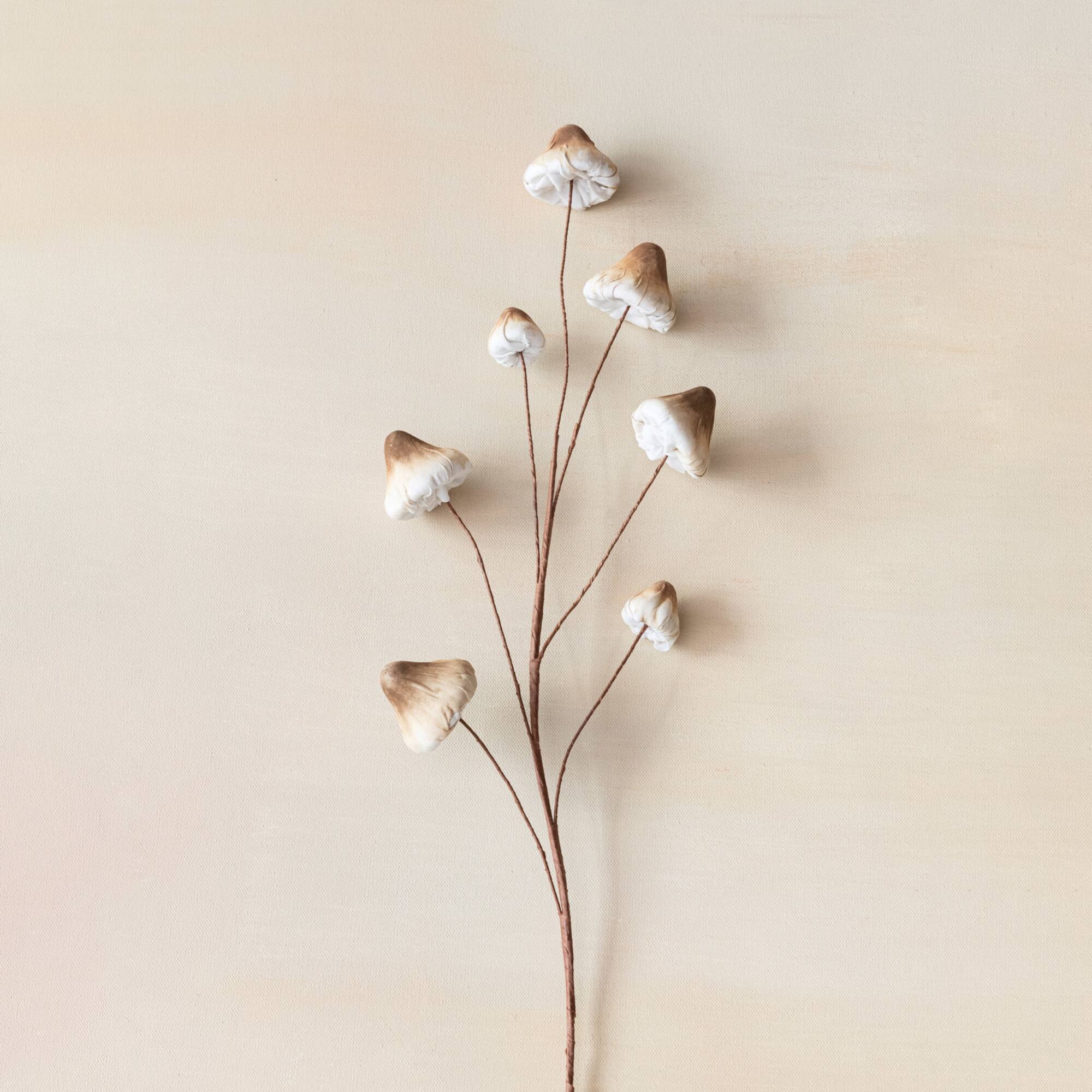Hello Honey® 32" Brown Mushroom Spray